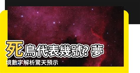 死鳥代表幾號|夢見各種夢所代表的樂透數字（動物篇），周公解夢大全查詢